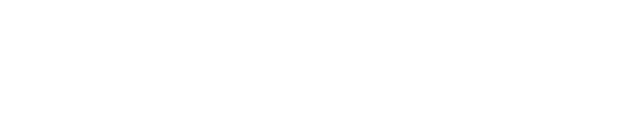 NV Energy logo