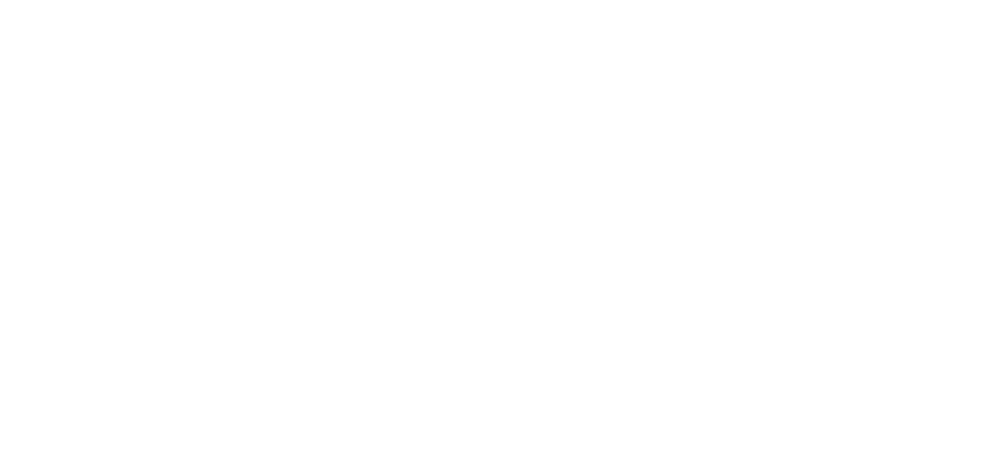Nevada State Bank logo
